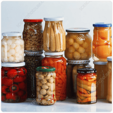 Dried/Preserved Food-image